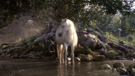 Death Of A Unicorn Movie Review