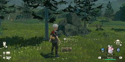 Pokemon Legends Arceus How Get Wood Locations Guide