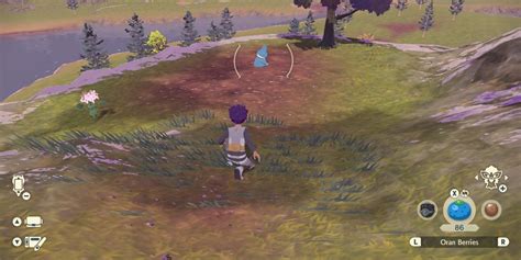 Pokemon Legends Arceus Find Catch Munchlax Guide
