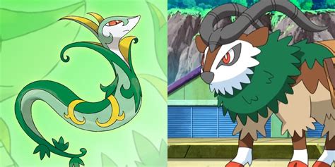Pokemon Most Powerful Grass Type Ranked