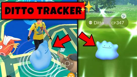 Pokemon Go How To Find Catch Shiny Ditto