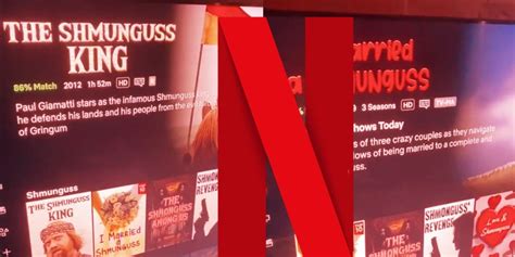 Shmunguss Revenge Netflix Category Explained