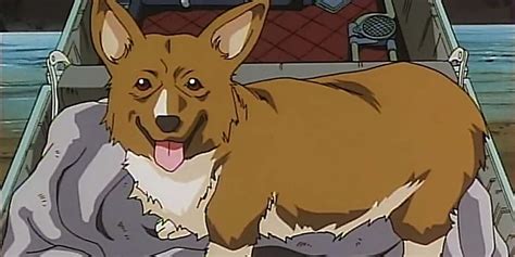 Cowboy Bebop Show Corgi Ein Backstory Anime