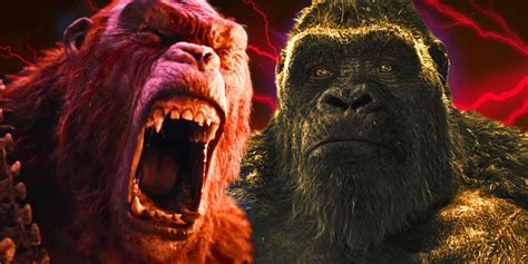 Godzilla X Kong Monsterverse Sequel Updates