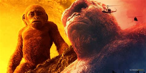 Godzilla X Kong Lead Skull Island Sequel