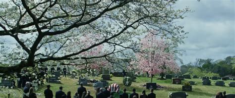 Captain America Brave New World Funeral Scene Steve Rogers Theory