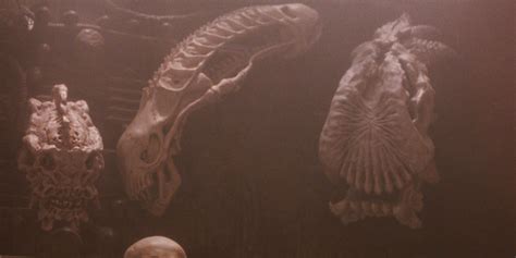 Predator 2 Trophy Room Skull Guide