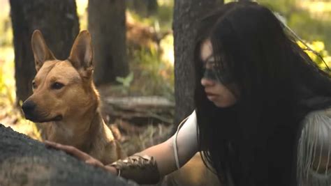 Prey Movie Dog Animal Shelter Response