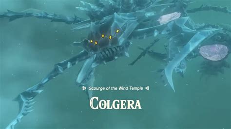 Zelda Totk Colgera Wind Temple Boss