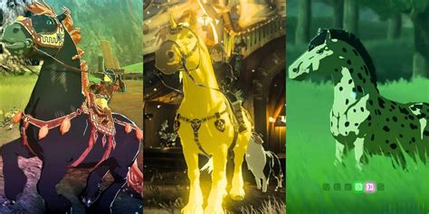Zelda Tears Kingdom Best Horses Ranked Unique Totk