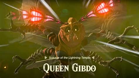 Zelda Totk Queen Gibdo Lightning Temple Boss