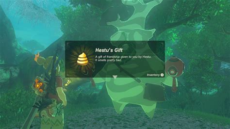Zelda Breath Wild Korok Seeds Reward Collect All