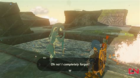 Zelda Totk Wife Wafted Away Mei Location