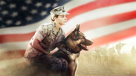 Megan Leavey Movie Netflix Viewership Numbers Chart Ranking