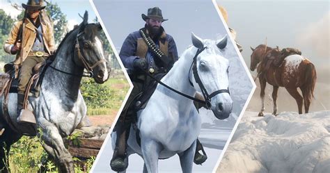 Rdr2 Best Free Horses Ranked