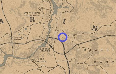 Rdr2 Arthur Morgan Death Grave Location Honor Memory