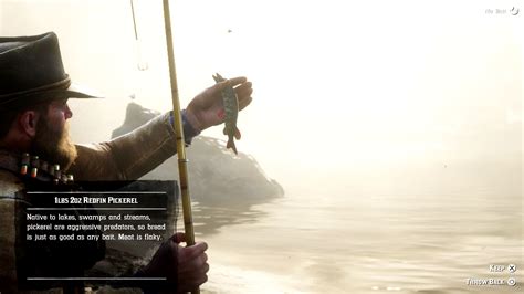 Rdr2 Every Meat Type Hunt Fish Guide