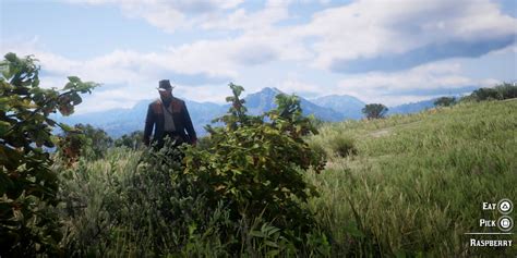 Rdr2 How To Beat Every Herbalist Challenge