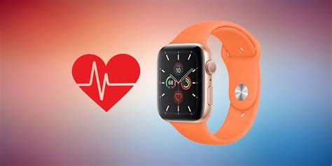 Apple Watch Heart Rate Measurements Accurate Explained