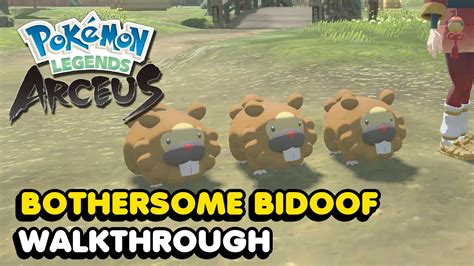 Bothersome Bidoof Location Guide Pokemon Legends Arceus