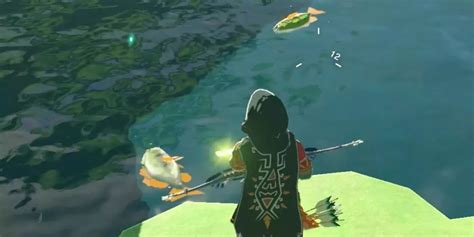 Botw Fish Catching Trick Tree Stasis Bomb