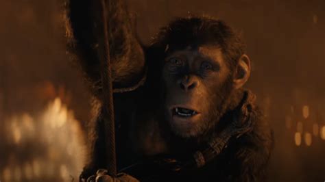 Kingdom Planet Of The Apes Humans Sequel Not Feral Future Timeline Op Ed