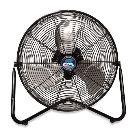 Fans