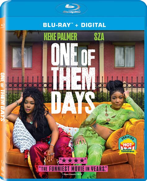 One Of Them Days R Rated Theatrical Female Black Movies Gap End Factoid