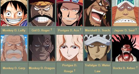 One Piece Meaning Of D Explained