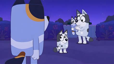 Bluey Uncle Stripe Aunt Trixie Divorce Theory
