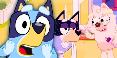 Bluey Fan Theories Believe True