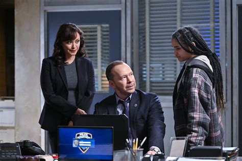 Blue Bloods Season 14 Episode 17 Erin Ending Rushed Other Raegans Ending Concerning Episode Explainer