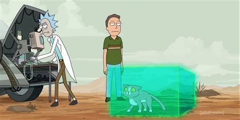 Rick Morty Talking Cat Reason Explained
