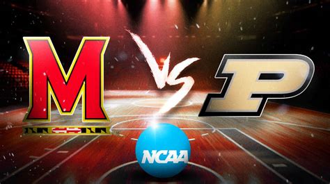 Florida Vs Maryland Prediction Florida Vs Maryland Who Will Reign Supreme Our Bold Prediction