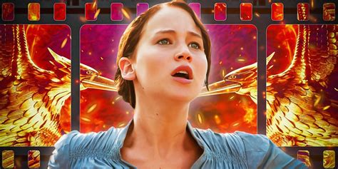 Hunger Games 74th Games Tributes Explained