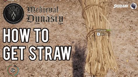 Straw Guide Medieval Dynasty