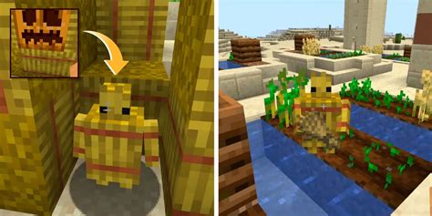 Straw Golem Minecraft Hay Make