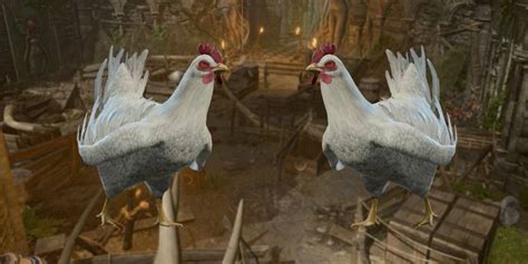 Baldurs Gate 3 How To Beat Goblin Chicken Chase