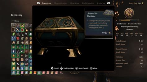 Baldurs Gate 3 Bag Holding Chest Mundane Bg3
