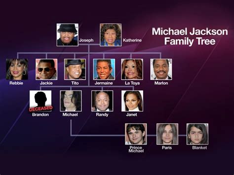 Michael Jackson Family Tree Musicians Explained
