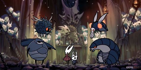 Hollow Knight Silksong Size Development Small Op Ed
