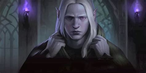 Dungeons Dragons Forgotten Realms Show Netflix Drizzt Show Set Up Op Ed
