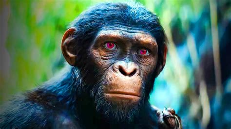 Who Main Character In Kingdom Planet Apes Is