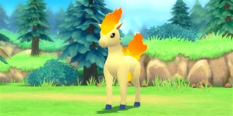 Evolve Ponyta Pokemon Brilliant Diamond Shining Pearl