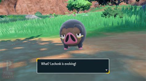 Evolve Lechonk Oinkologne Pokemon Scarlet Violet