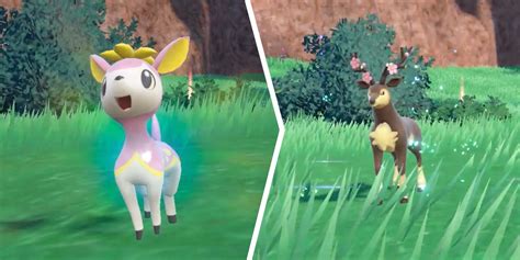 Evolve Deerling Sawsbuck Pokemon Scarlet Violet