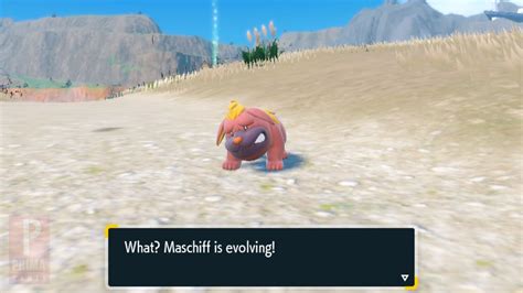 Evolve Maschiff Mabosstiff Pokemon Scarlet Violet