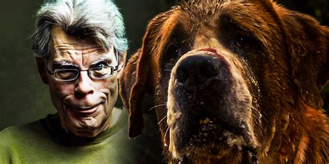 Stephen King Cujo Sequel Rattlesnakes Story Closure Ending