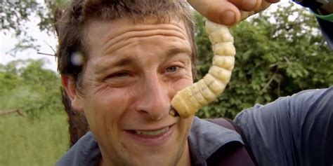Bear Grylls Fake Real Man Vs Wild Show Explained