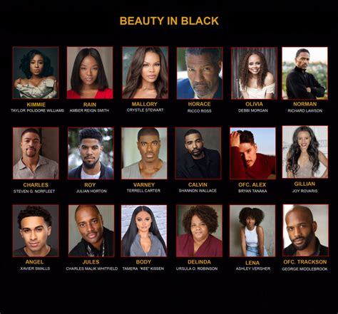 Beauty In Black Netflix Cast Characters
